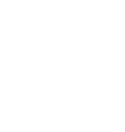 Numbers Protocol logo